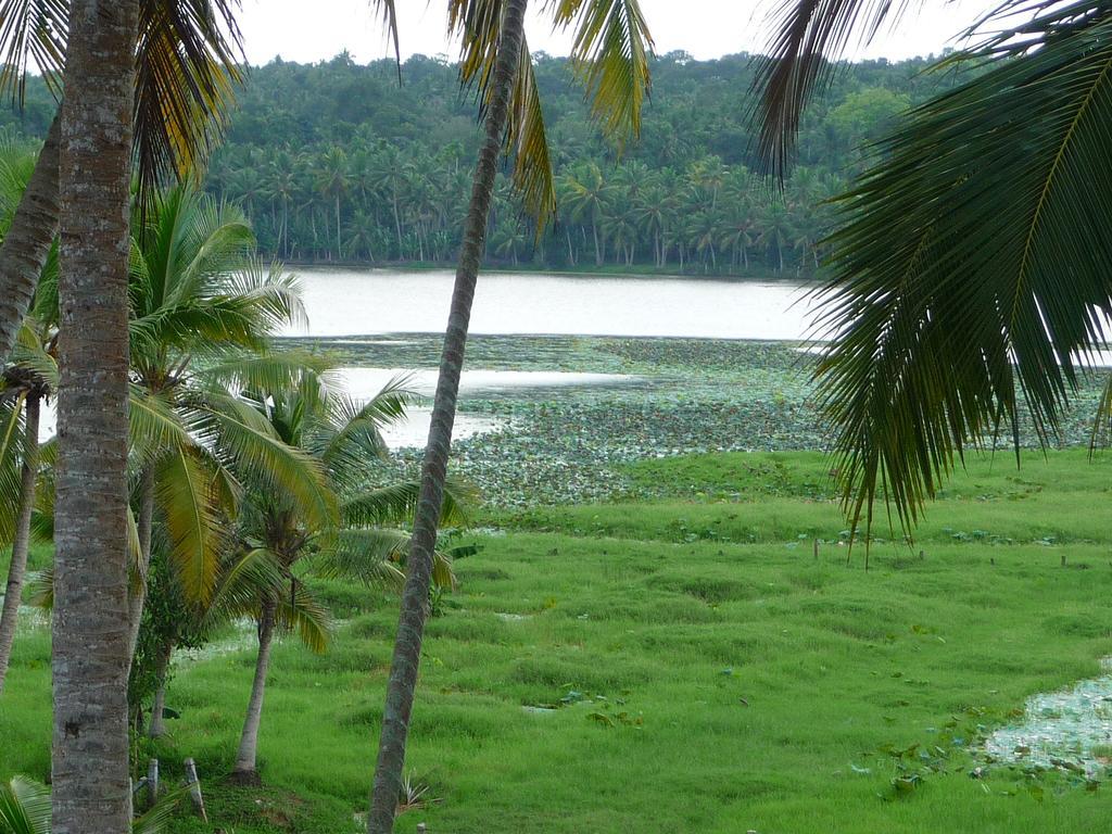 Ganesh Ayurveda Holiday Home Bed And Breakfast Kovalam Buitenkant foto