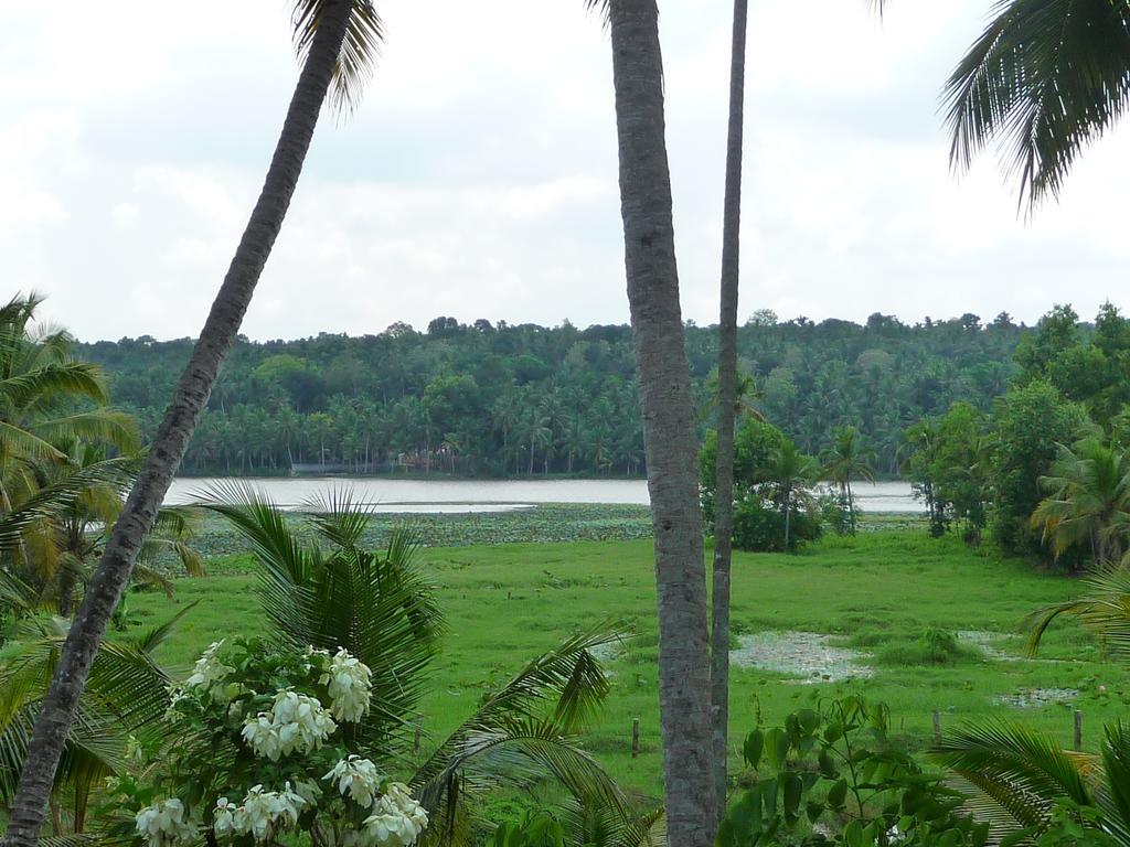 Ganesh Ayurveda Holiday Home Bed And Breakfast Kovalam Buitenkant foto