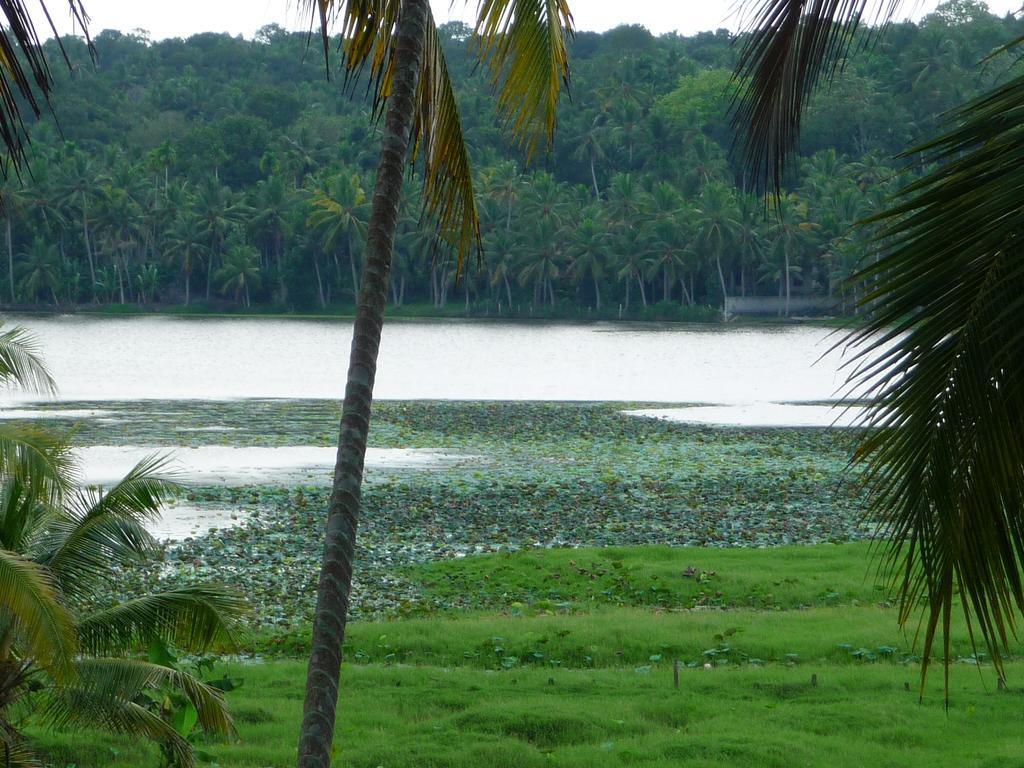 Ganesh Ayurveda Holiday Home Bed And Breakfast Kovalam Buitenkant foto